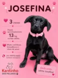 Josefina
