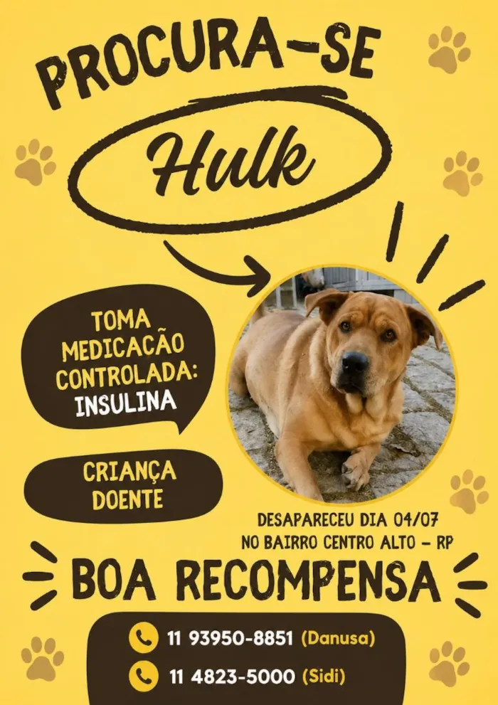 Cachorro raça SRD-ViraLata idade 6 ou mais anos nome Hulk