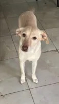 Hera 
