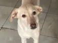 Hera