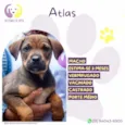 Atlas