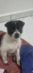 Zé Cláudio