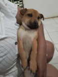Chico e Thiago(mas são nomes temporários)