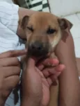 Chico e Thiago(mas são nomes temporários)