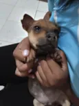 Chico e Thiago(mas são nomes temporários)