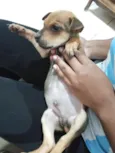 Chico e Thiago(mas são nomes temporários)
