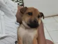 Chico e Thiago(mas são nomes temporários)