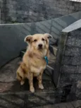 Não sabemos o nome