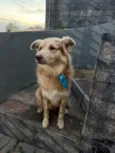 Não sabemos o nome