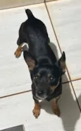 Não tem