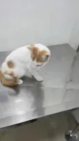 Tina
