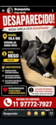 Nego