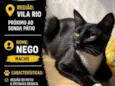 Nego