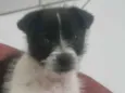 Zé Cláudio