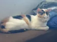 Lili