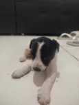 nao tem nome ainda