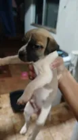 nao tem nome ainda