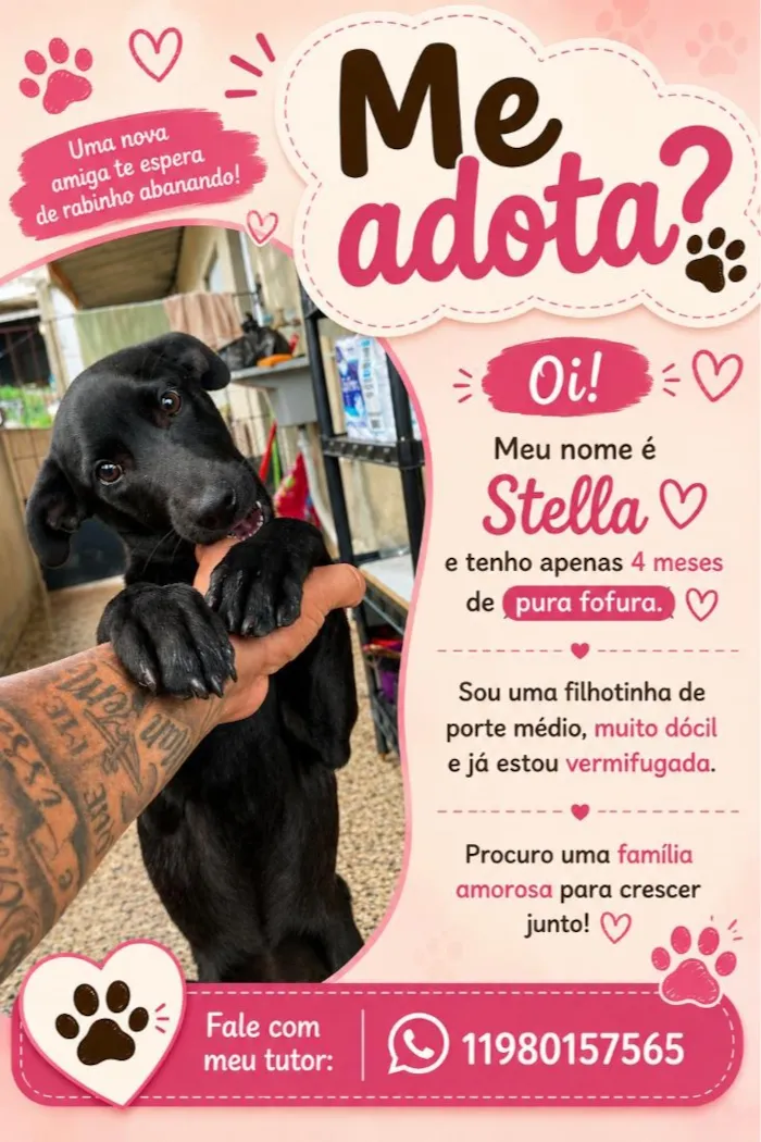 Cachorro raça SRD-ViraLata idade 2 a 6 meses nome Stella