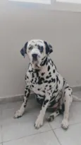 Nala