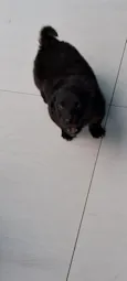 bidu