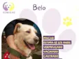 Belo