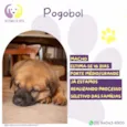 Pagobol