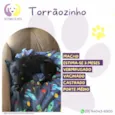 Torrãozinho