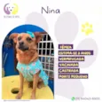 Nina