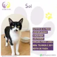 Sol