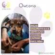 Outono