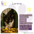 Lorena