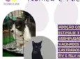Romeu e Nico