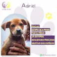 Adriel
