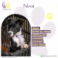 Nina