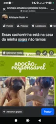não tem nome