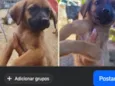 não tem nome