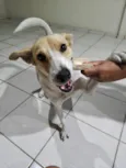 Fiona 