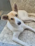 Fiona 