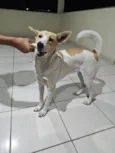 Fiona 