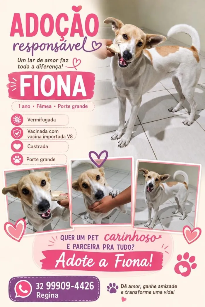 Cachorro raça SRD-ViraLata idade 1 ano nome Fiona 
