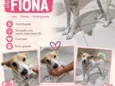 Fiona 