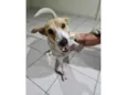 Fiona 