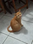 Sol