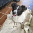 Julie