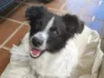 Julie