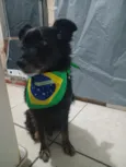 Cocada