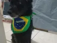 Cocada
