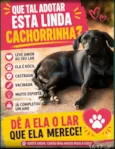 Pretinha