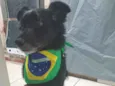 Cocada