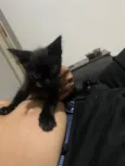 Dora